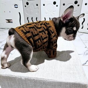 Puppy Dog Sweater XS